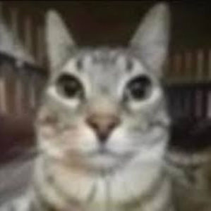 Meet your Posher, Gabriel